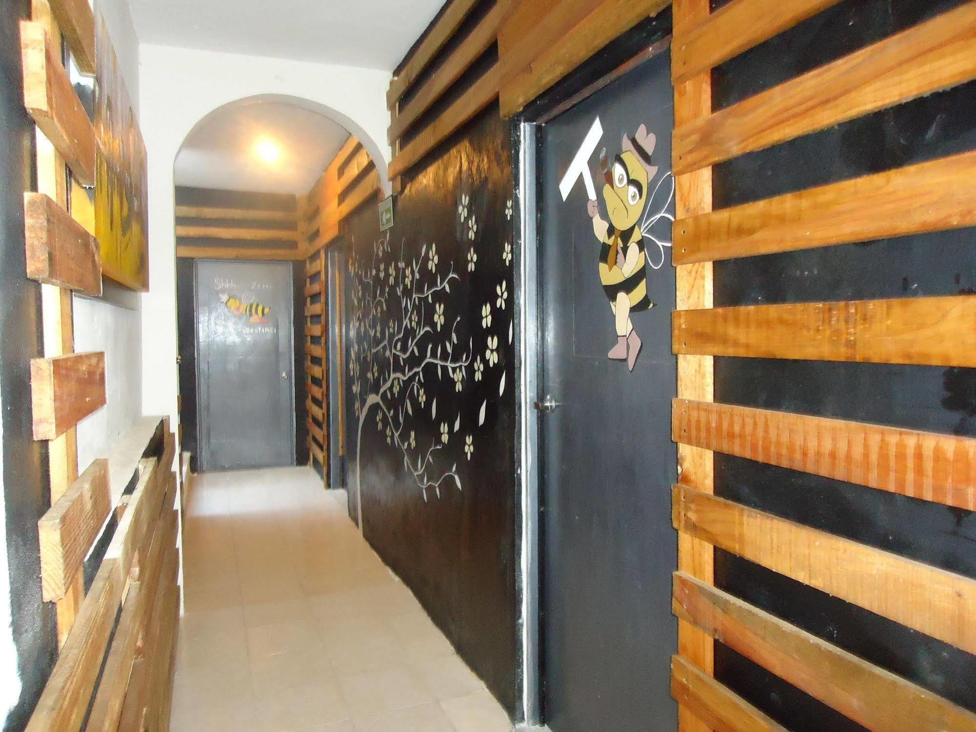 Humble Bumble Hostel Πλάγια Ντελ Κάρμεν Εξωτερικό φωτογραφία